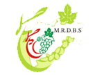 mrdbs