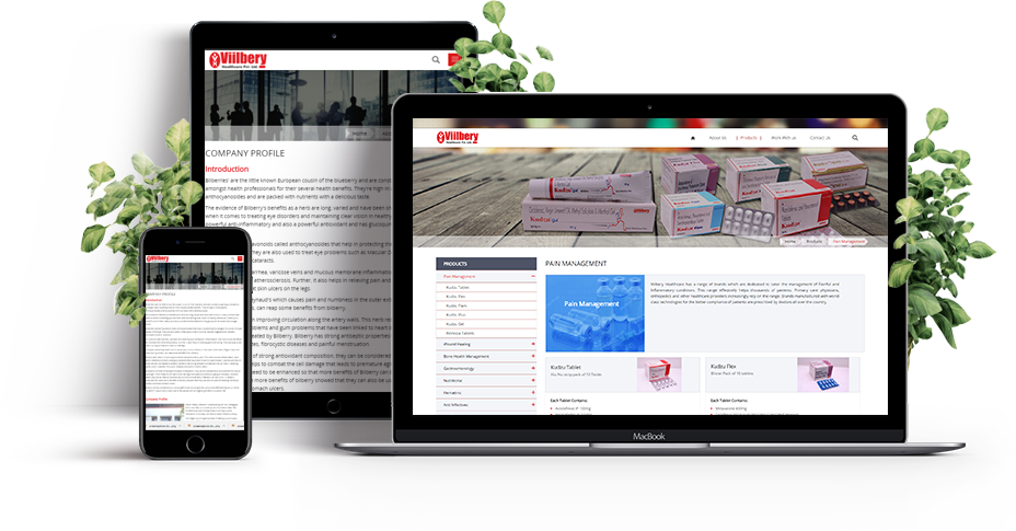 Responsive Responsive